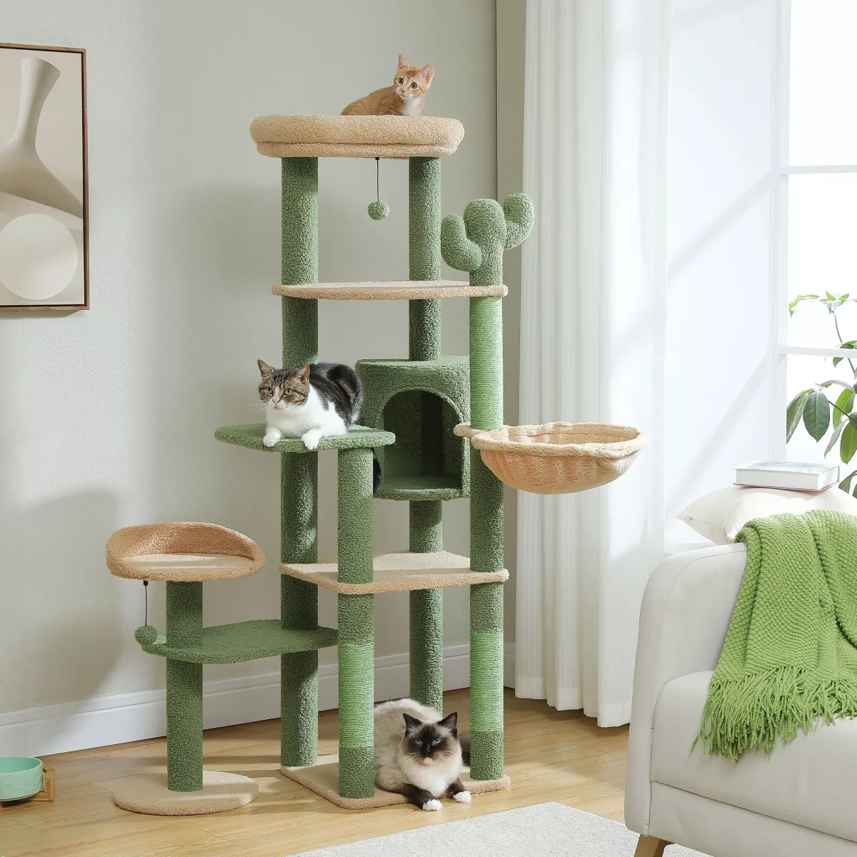 Arbre à chat cactus vert à plusieurs niveaux