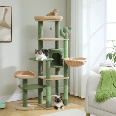 Arbre à chat cactus vert à plusieurs niveaux