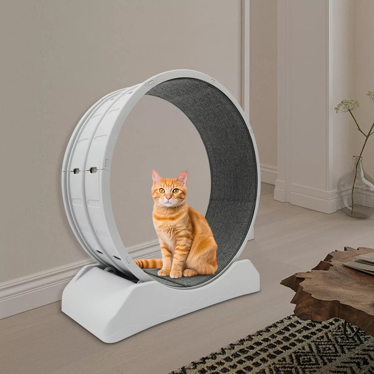 Roue d'exercice grise pour chat, 80 cm