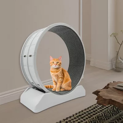 Roue d'exercice grise pour chat, 80 cm